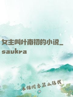 女主叫叶南初的小说