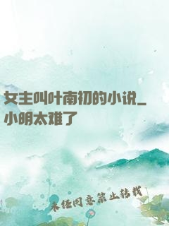 女主叫叶南初的小说