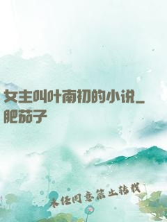 女主叫叶南初的小说