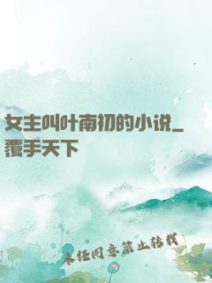 女主叫叶南初的小说