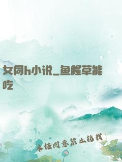 女同h小说