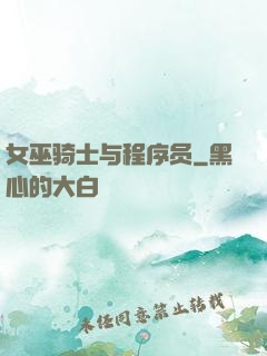 女巫骑士与程序员