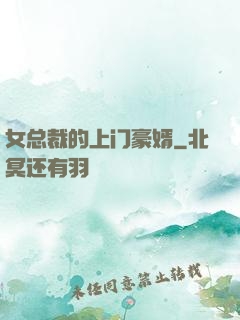 女总裁的上门豪婿