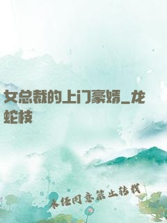 女总裁的上门豪婿