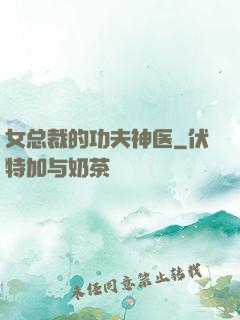 女总裁的功夫神医
