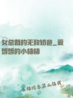 女总裁的无敌奶爸
