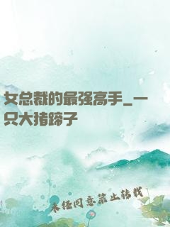 女总裁的最强高手