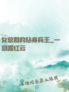 女总裁的贴身兵王