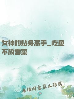 女神的贴身高手