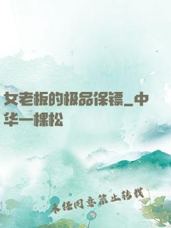 女老板的极品保镖