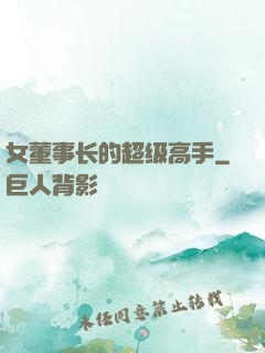 女董事长的超级高手