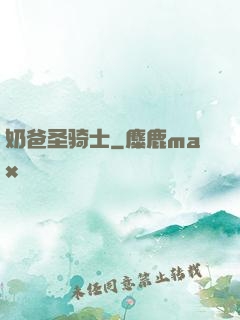 奶爸圣骑士