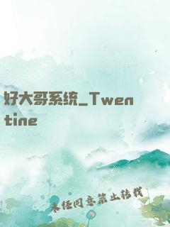 好大哥系统