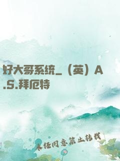 好大哥系统