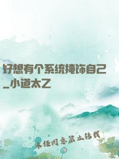 好想有个系统掩饰自己