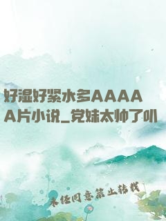 好湿好紧水多AAAAA片小说