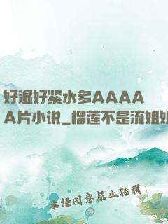 好湿好紧水多AAAAA片小说