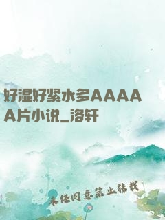 好湿好紧水多AAAAA片小说