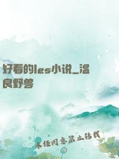 好看的les小说