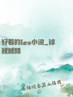 好看的les小说