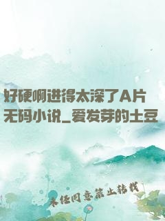 好硬啊进得太深了A片无码小说