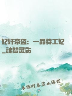 妃奸帝盗：一品特工妃