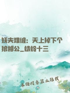 妖夫难缠：天上掉下个狼相公
