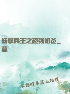 妖孽兵王之超强奶爸
