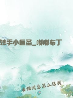 妙手小医圣