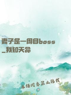 妻子是一周目boss