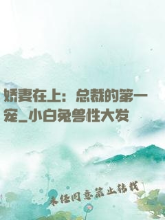 娇妻在上：总裁的第一宠