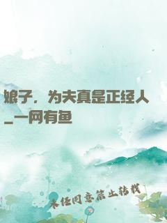 娘子，为夫真是正经人