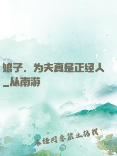 娘子，为夫真是正经人