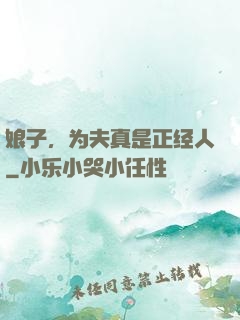娘子，为夫真是正经人