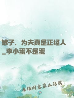 娘子，为夫真是正经人