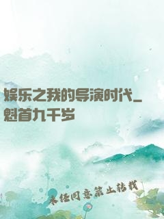 娱乐之我的导演时代