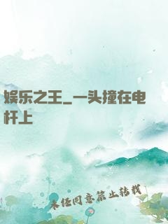 娱乐之王