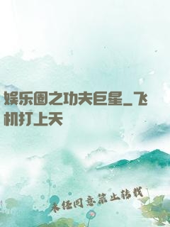 娱乐圈之功夫巨星