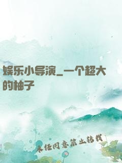 娱乐小导演