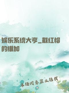 娱乐系统大亨