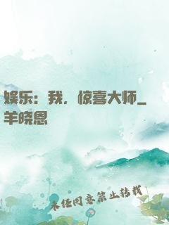 娱乐：我，惊喜大师