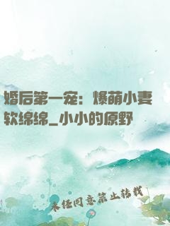 婚后第一宠：爆萌小妻软绵绵
