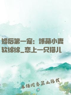婚后第一宠：爆萌小妻软绵绵