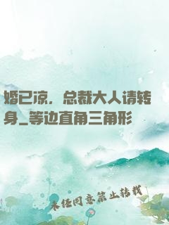 婚已凉，总裁大人请转身