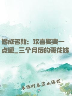 婚成名就：欢喜娶妻一点通