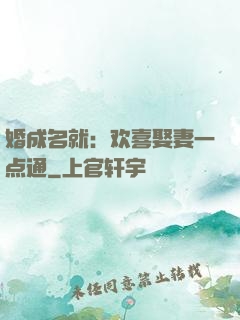 婚成名就：欢喜娶妻一点通