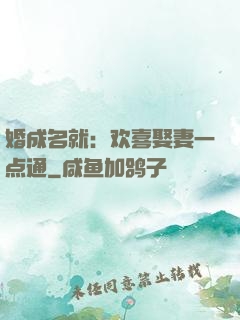 婚成名就：欢喜娶妻一点通