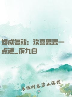 婚成名就：欢喜娶妻一点通