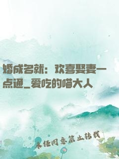 婚成名就：欢喜娶妻一点通
