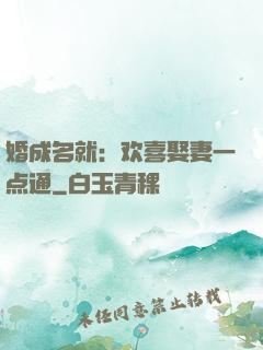 婚成名就：欢喜娶妻一点通